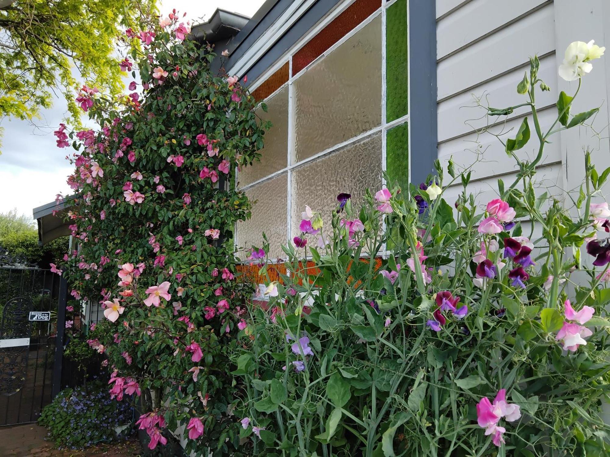 Guthrie Cottage Havelock North Eksteriør billede